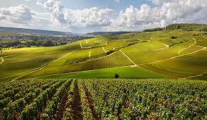 Attrezzature agricole